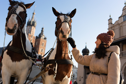 Tourist and Horses in Main Market Square in Krakow, Poland