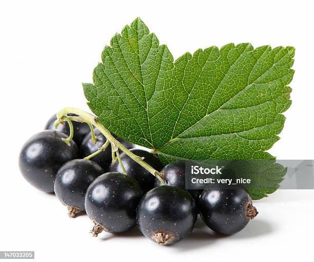 Schwarze Johannisbeere Früchte Mit Einem Blatt Stockfoto und mehr Bilder von Beere - Obst - Beere - Obst, Blatt - Pflanzenbestandteile, Fotografie