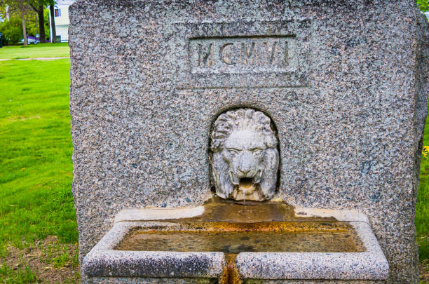 Bar Harbor Horse Trough