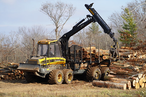 New Lisbon, Wisconsin USA - November 9th, 2022: Ponsse Elk wood log transport truck moving logs around to carry.