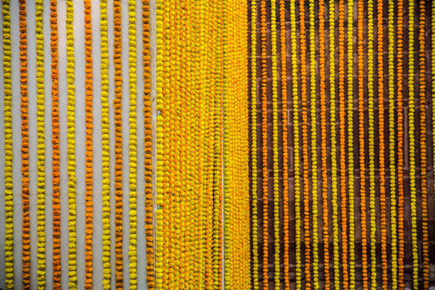 Flower garlands hang down the outer walls of a fort in Jodhpur, Rajasthan