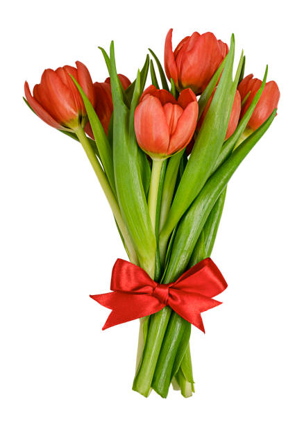 istock Bouquet of spring red tulips 1470339373