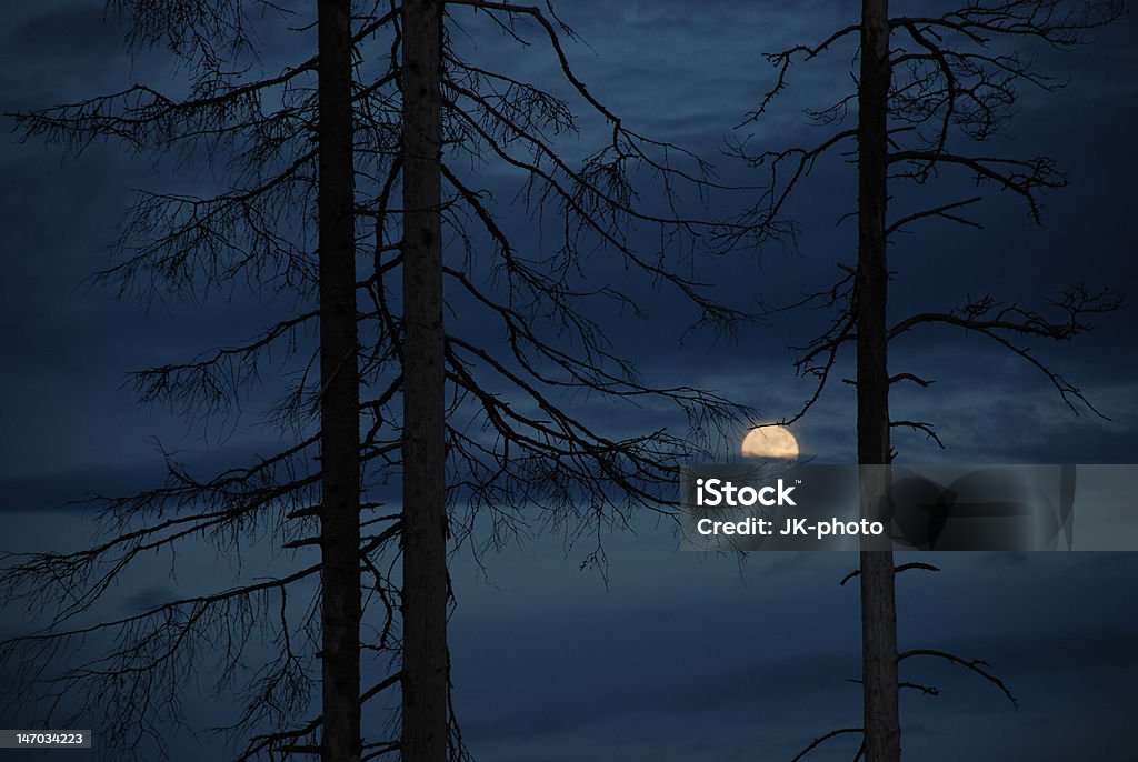 Полночь - Стоковые фото Атмосфера - Понятия роялти-фри