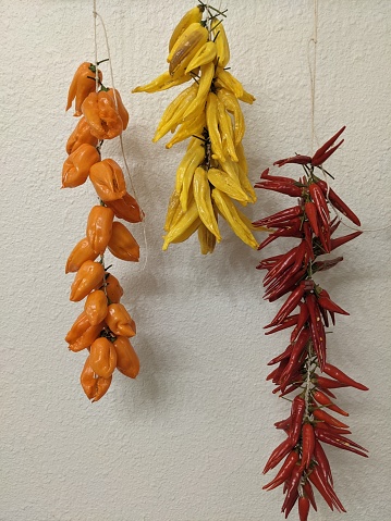 Three groups of hot peppers (Habenaro, Hot Lemon and Thai) drying on twine against a white background.