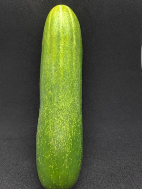 istock A fresh cucumber with a black background 1470346859