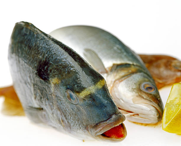 raw fish and lemon stock photo