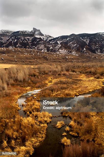 Paisagem De Montanha - Fotografias de stock e mais imagens de Ao Ar Livre - Ao Ar Livre, Arbusto, Beleza natural