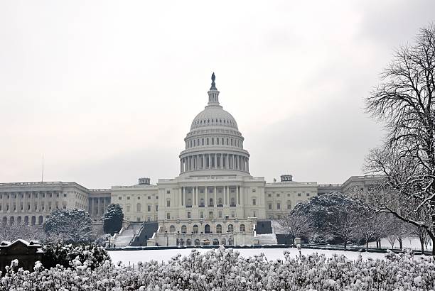istock Graphic arts of winter. 147034961