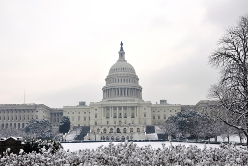 The Capitol, the snow covered with dropped out snow bushes.