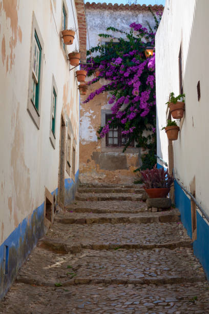 View of stone steps going up a street in the old walled town of Obidos in Portugal. Narrow alleyway with bright colours and some plants and vegetation and a bougainvillea with purple blossom at the end of the street. Cobble stones, flower pots on the walls.