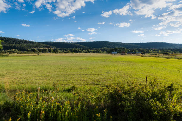 Asama ranch of Kita-karuizawa