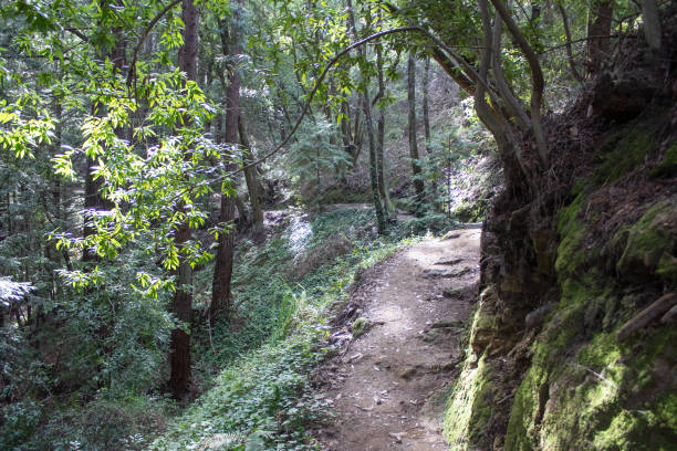 istock California Hiking Trails 1470352274
