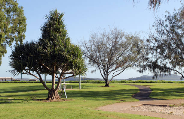 istock Trees and a walking path at Spinnaker Park in Gladstone, Queensland, Australia 1470352321