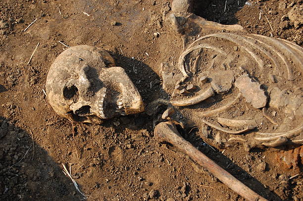 istock Human bones and skull half buried in dirt 147035287