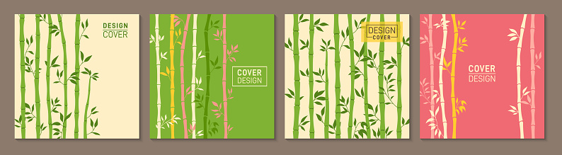 Abstract bamboo stem trendy cover or square card design set. Asian exotic pattern page flyer, notebook planner with plants. Brochure social media catalog. Decorative organic natural page background