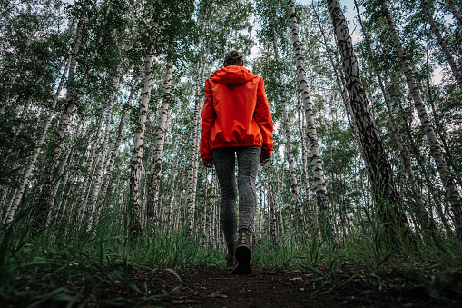 A young girl in an orange jacket walks through a birch forest among tall trees, a view from below. Summer walks in the park.