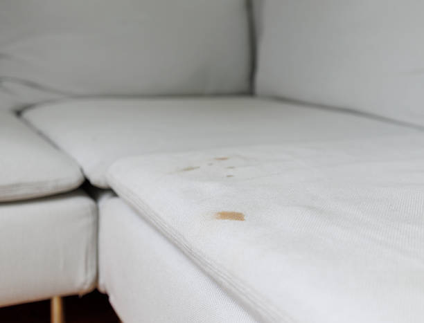 istock White coach with stains from coffee before cleaning. 1470358202