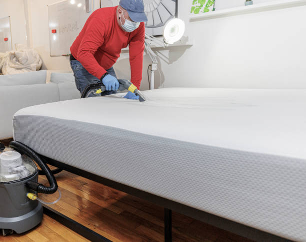 istock Cleaning service worker removing stains from the office coach. 1470358205