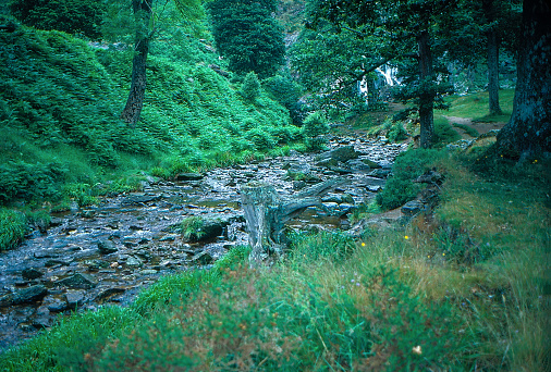 1980s old Positive Film scanned, the view of Powerscourt Waterfall, Dublin, Ireland