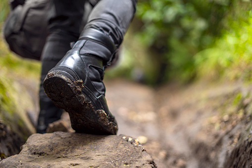 Top view of various shoe and boot prints on dirt in the park