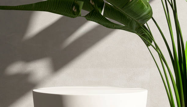 istock Minimal, modern matte white round stone podium, tropical banana tree in sunlight on concrete wall 1470363002