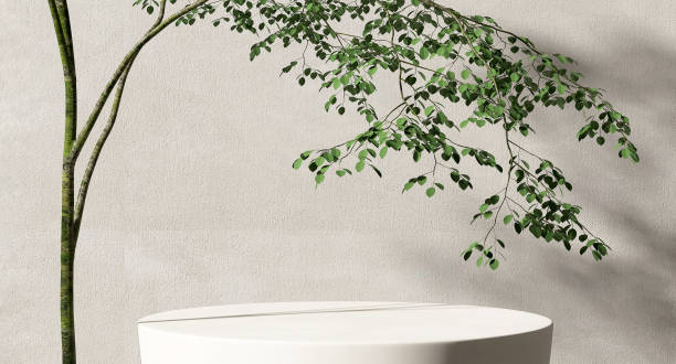 istock Minimal, modern matte white round stone podium, tropical tree in sunlight on concrete wall 1470363007