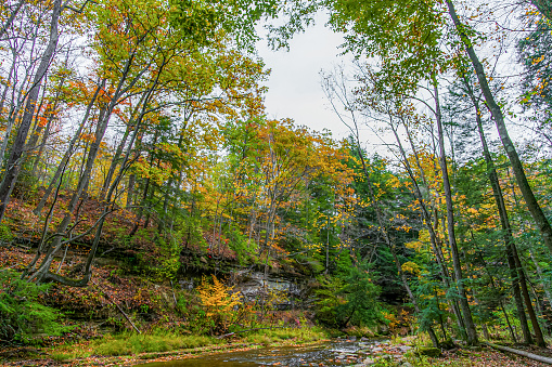 Fall color foliage hits Ashtabula County, Ohio.