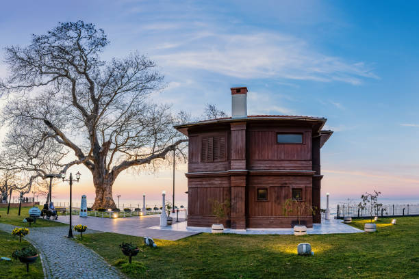 yuruyen kosk ou mansão ambulante ataturk moving house e árvore chenar na costa do mar de mármara - yalova - fotografias e filmes do acervo