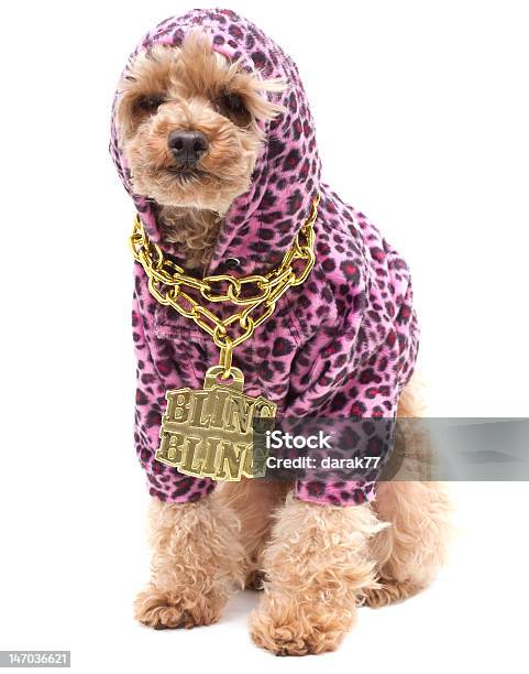 Bling Hund Sitzend Stockfoto und mehr Bilder von Hund - Hund, Rap, Bling-Bling