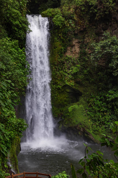 istock Costa Rica Waterfall in a Rain Forest 1470367395
