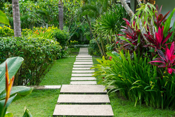 istock Well-kept tropical garden with a path after the rain. 1470367493