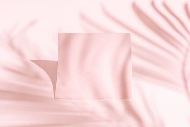istock Minimalist mockup with soft shadows from a palm tree branch. 1470367792