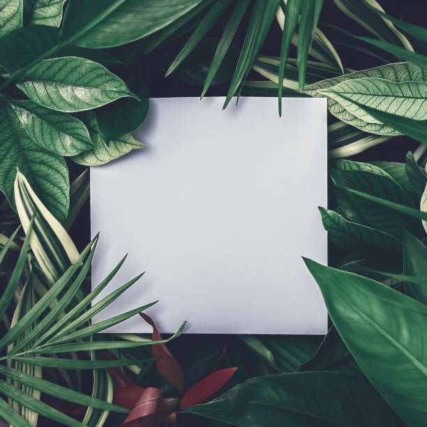 istock Creative tropical leaf mockup of tropical plants. Summer layout with a square card on top. 1470367856