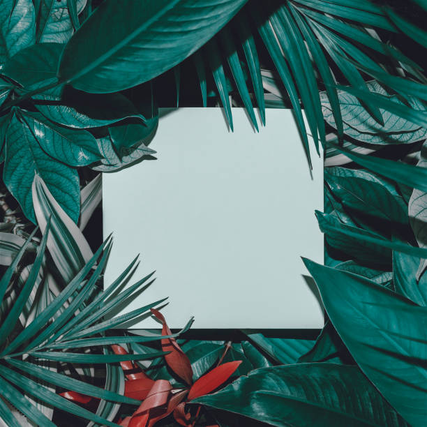 istock Summer natural makeup of tropical leaves. Creative summer layout. 1470367864
