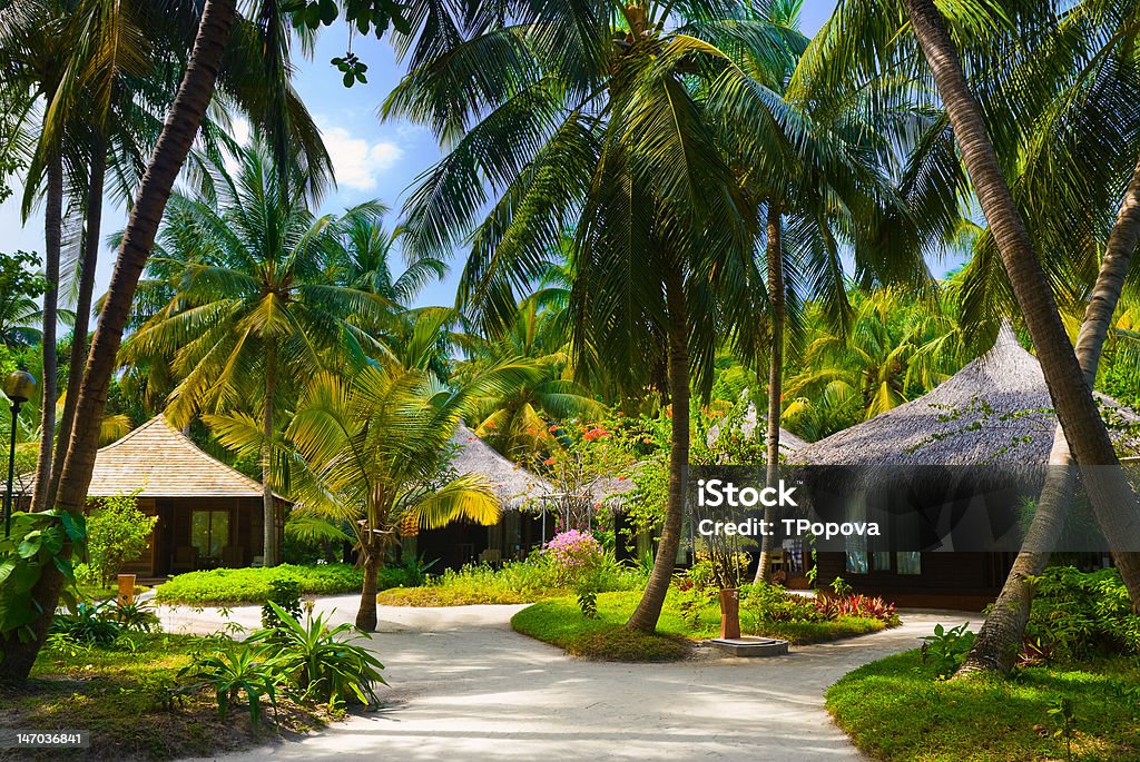 Bungalows, pathway, flowers and trees Bungalows, pathway, flowers and trees - vacation background Architecture Stock Photo