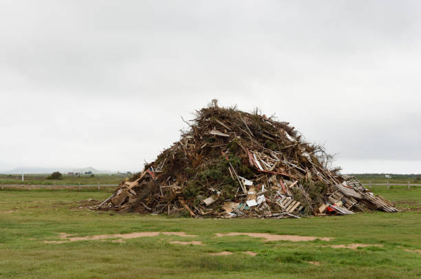 Big pile of debris from a storm