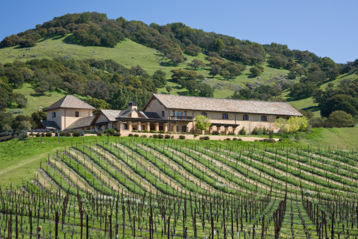 Northern California winery atop a lush green hill located in the Napa Valley