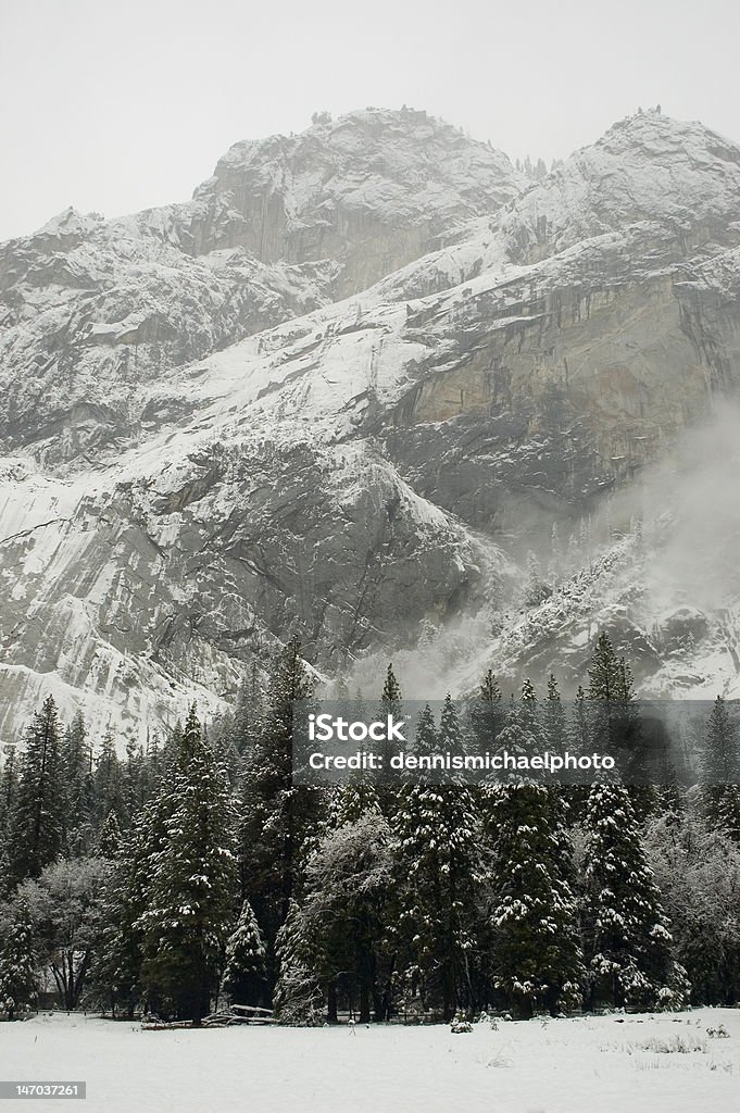 Winter Cliffs Frigid scene of snow covered cliffs in Yosemite National Park with evergreens in the foreground Redwood Tree Stock Photo