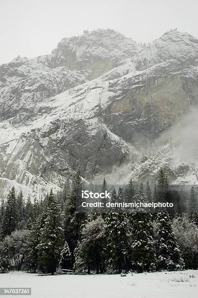 Winter Cliffs Stock Photo - Download Image Now - Redwood Tree, Winter, Black Color