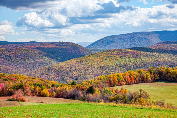 Fall Colors stock photo
