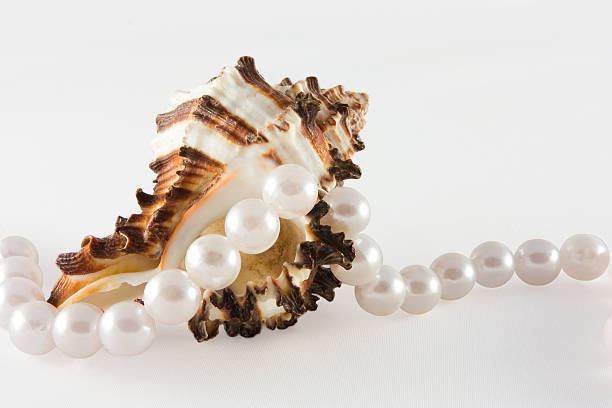 istock Shell and rope of pearls 147037757