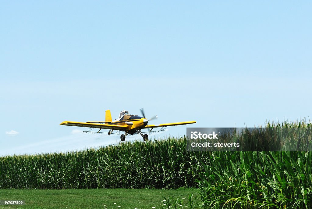 Yellow Cropduster Flying Low Yellow cropduster over the cornfield. Airplane Stock Photo