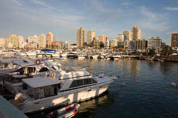 punta del este, uruguai - 3144 imagens e fotografias de stock