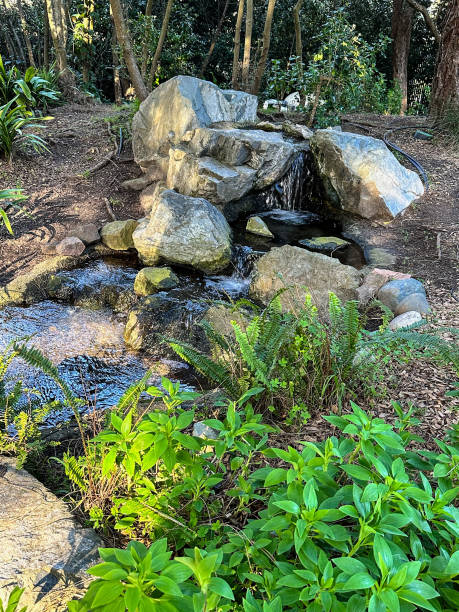 istock Small creek with trickling water in woods 1470380450