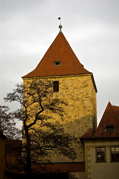 istock Prague building with flag on top 147038282