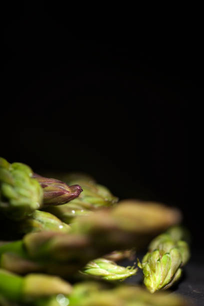 Close up in the shade of a bunch of wild asparagus.
