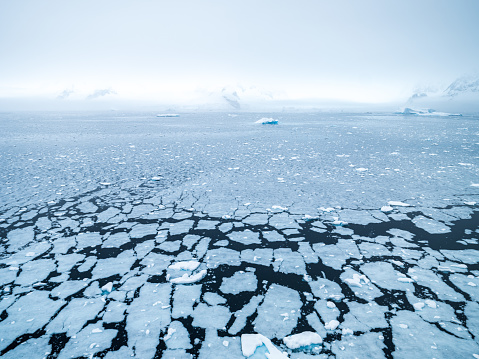 Frozen sea ice