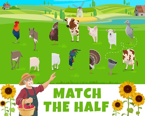 Match half of farm animals, game quiz worksheet, vector riddle. Picture match game to find same part or correct piece of farm cattle cow, pig and sheep with chicken rooster and turkey bird
