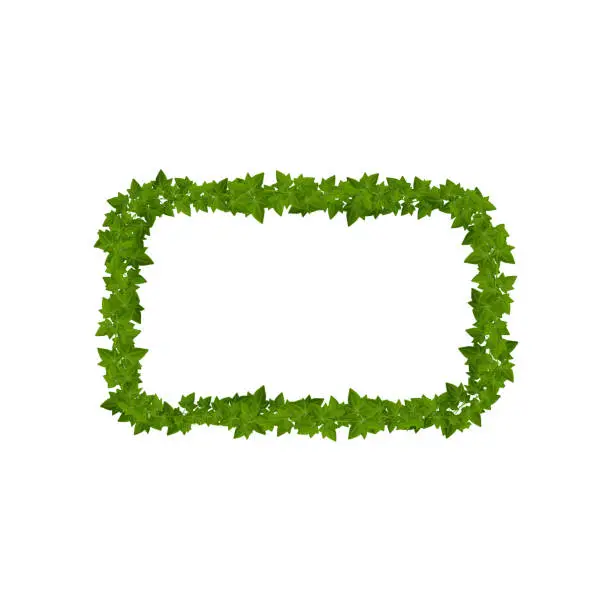 Vector illustration of Lianas and ivy green leaves border of frame