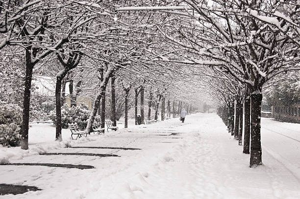 Como caminhar na Neve - fotografia de stock